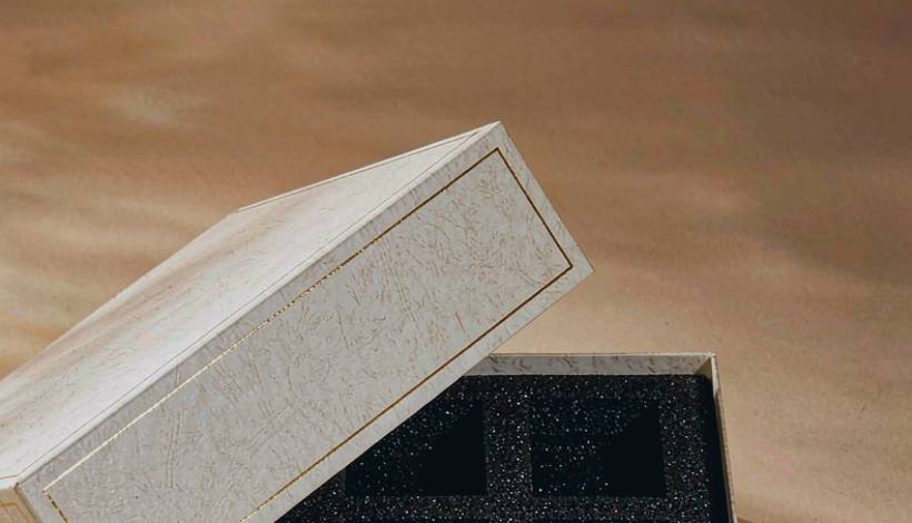 Long Lasting High Capacity Vape Pods packaging detail